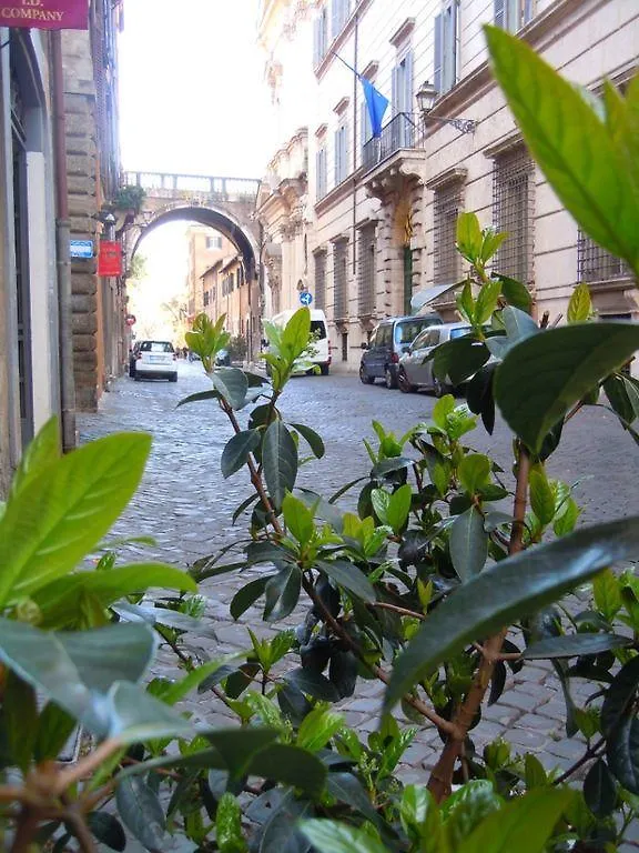 Via Giulia Apartment Rome